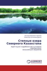 Степные озера Северного Казахстана