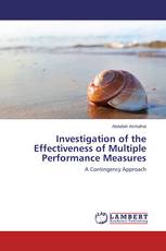 Investigation of the Effectiveness of Multiple Performance Measures