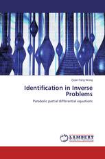 Identification in Inverse Problems