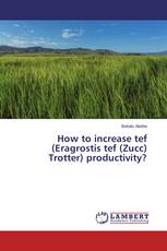 How to increase tef (Eragrostis tef (Zucc) Trotter) productivity?