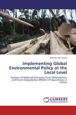 Implementing Global Environmental Policy at the Local Level