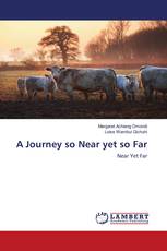 A Journey so Near yet so Far