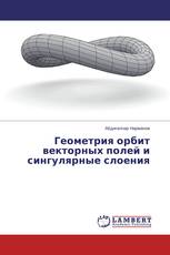 Геометрия орбит векторных полей и сингулярные слоения