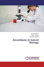 Zerumbone in Cancer Therapy