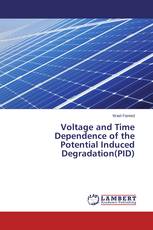 Voltage and Time Dependence of the Potential Induced Degradation(PID)