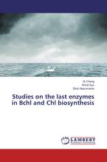 Studies on the last enzymes in Bchl and Chl biosynthesis