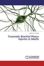 Traumatic Brachial Plexus Injuries in Adults