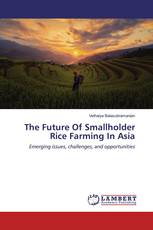 The Future Of Smallholder Rice Farming In Asia