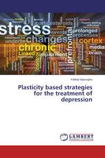 Plasticity based strategies for the treatment of depression