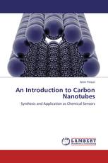 An Introduction to Carbon Nanotubes