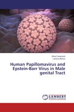 Human Papillomavirus and Epstein-Barr Virus in Male genital Tract