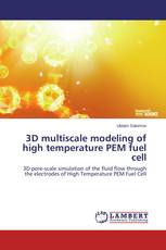 3D multiscale modeling of high temperature PEM fuel cell