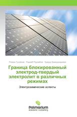 Граница блокированный электрод-твердый электролит в различных режимах