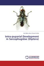 Intra-puparial Development in Sarcophagidae (Diptera)