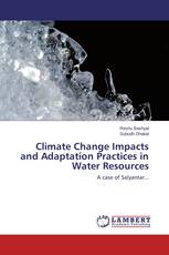 Climate Change Impacts and Adaptation Practices in Water Resources