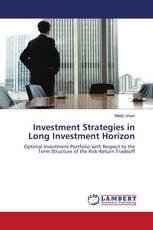 Investment Strategies in Long Investment Horizon