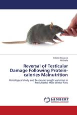 Reversal of Testicular Damage Following Protein-calories Malnutrition