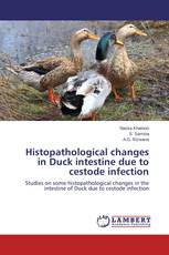 Histopathological changes in Duck intestine due to cestode infection