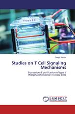 Studies on T Cell Signaling Mechanisms