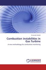 Combustion instabilities in Gas Turbine