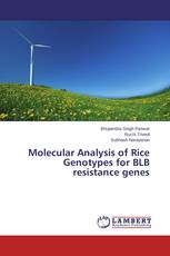 Molecular Analysis of Rice Genotypes for BLB resistance genes