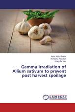 Gamma irradiation of Allium sativum to prevent post harvest spoilage