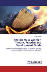 The Biomass Gasifier: Theory, Practice and Development Guide