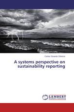 A systems perspective on sustainability reporting