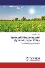Network resources and dynamic capabilities