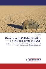 Genetic and Cellular Studies of the podocyte in FSGS
