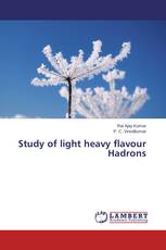 Study of light heavy flavour Hadrons