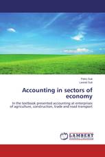 Accounting in sectors of economy