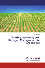 Planting Geometry and Nitrogen Management in Groundnut