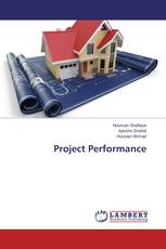 Project Performance