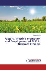 Factors Affecting Promotion and Development of MSE in Nekemte Ethiopia