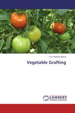 Vegetable Grafting