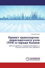 Проект транспортно-пересадочного узла (ТПУ) в городе Казани