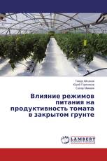 Влияние режимов питания на продуктивность томата в закрытом грунте