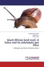 Giant African land snail, A fulica and its cellulolytic gut flora
