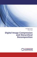 Digital Image Compression and Hierarchical Decomposition