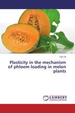Plasticity in the mechanism of phloem loading in melon plants