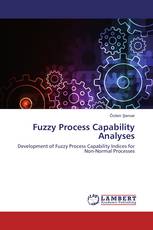 Fuzzy Process Capability Analyses