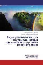 Виды равновесия для внутрипланетных циклов (макроуровень рассмотрения)