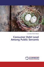 Consumer Debt Level Among Public Servants