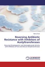 Reversing Antibiotic Resistance with Inhibitors of Acetyltransferases