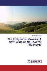 The Indigenous Grasses: A New Sustainable Tool for Bioenergy