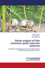 Sense organs of the common quail coturnix coturnix