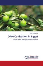 Olive Cultivation in Egypt