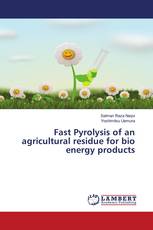 Fast Pyrolysis of an agricultural residue for bio energy products