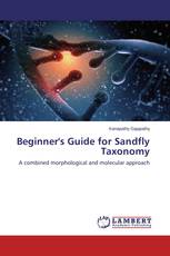 Beginner's Guide for Sandfly Taxonomy